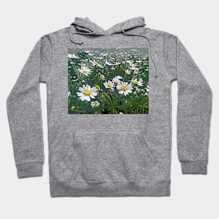 Margaritas / daisies Hoodie